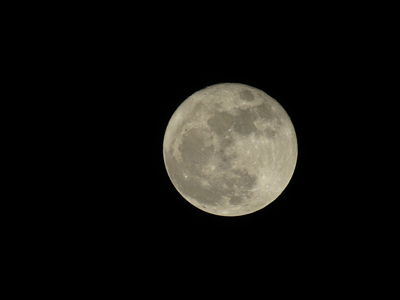 MPB-344 "Full Moon"