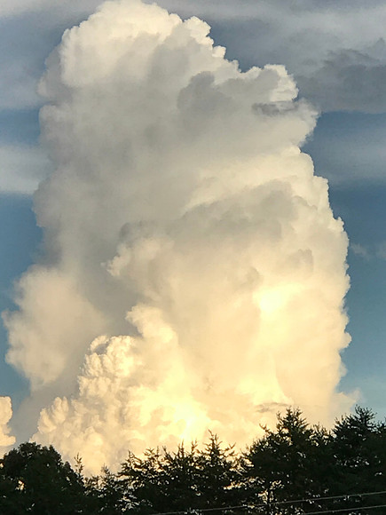 MPB-349 "Fluffy Poodle"