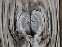 MPB-103 "Hole in My Heart 1"