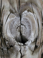 MPB-104 "Hole in My Heart 2"