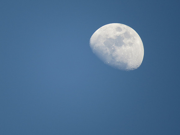 MPB-155 "Moon Scoop"