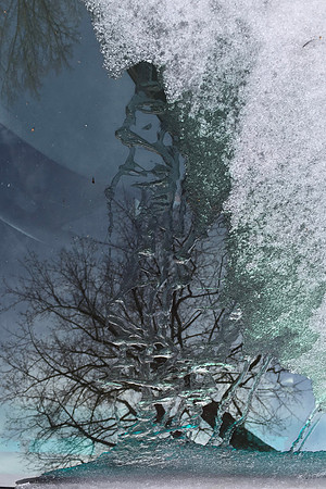 MPB-127 "Ice Tree"