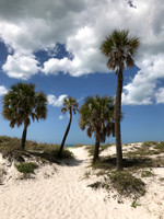MPB-156 "Path to Clearwater"