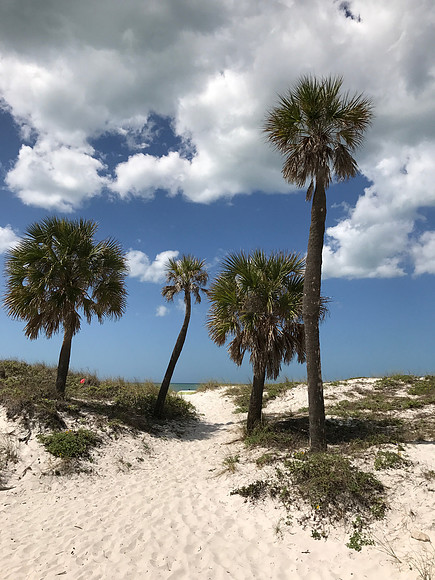 MPB-156 "Path to Clearwater"
