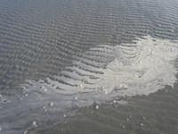MPB-315 "Sea Foam Comb"