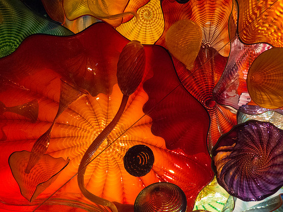 Chihuly Glass 5