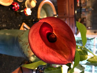 MPB-171 "Calla Heart 2"